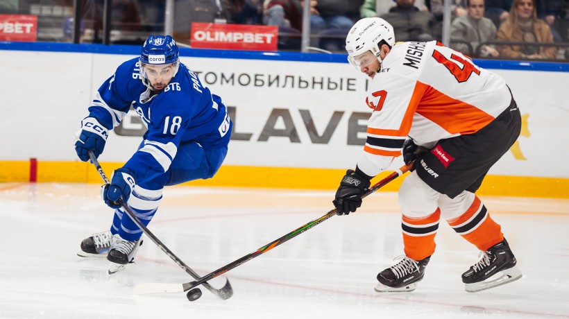 Опасный зверь. «Динамо» принимает «Амур»